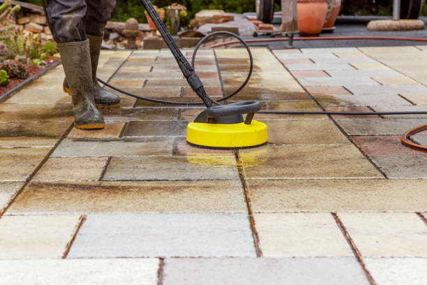 Best Pre-Holiday Cleaning  in Milmay, NJ